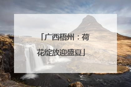 广西梧州：荷花绽放迎盛夏
