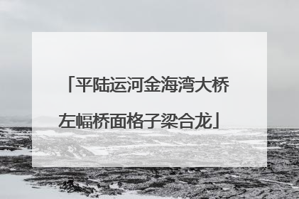 平陆运河金海湾大桥左幅桥面格子梁合龙