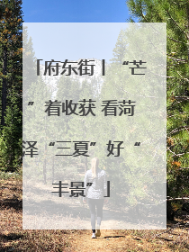 府东街丨“芒”着收获 看菏泽“三夏”好“丰景”