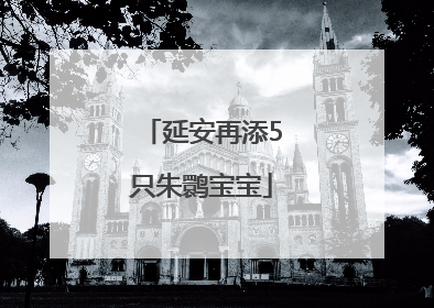 延安再添5只朱鹮宝宝