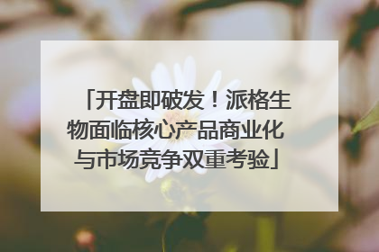 开盘即破发！派格生物面临核心产品商业化与市场竞争双重考验