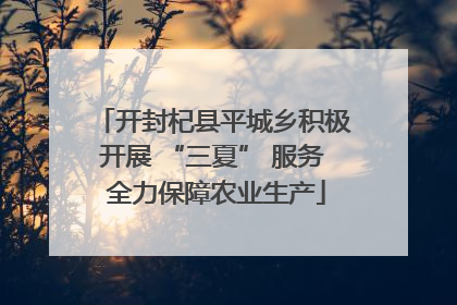 开封杞县平城乡积极开展 “三夏” 服务 全力保障农业生产