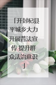 开封杞县平城乡大力开展普法宣传 提升群众法治意识