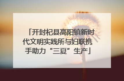 开封杞县高阳镇新时代文明实践所与妇联携手助力“三夏”生产