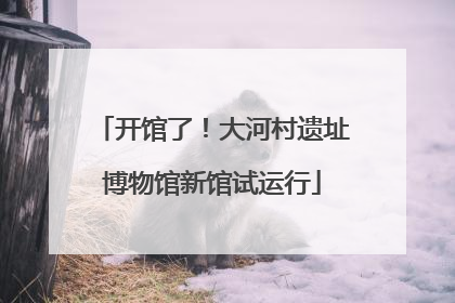开馆了！大河村遗址博物馆新馆试运行