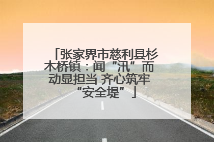 张家界市慈利县杉木桥镇：闻“汛”而动显担当 齐心筑牢“安全堤”