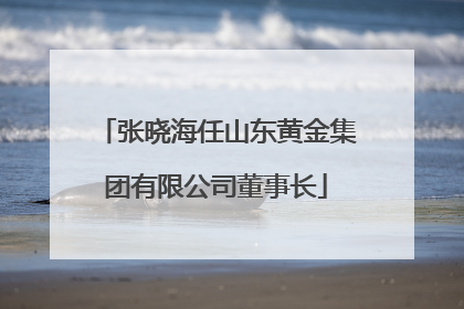 张晓海任山东黄金集团有限公司董事长