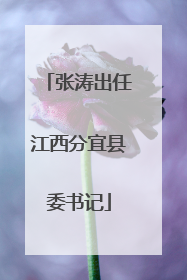 张涛出任江西分宜县委书记