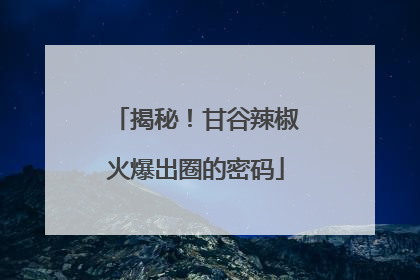 揭秘！甘谷辣椒火爆出圈的密码