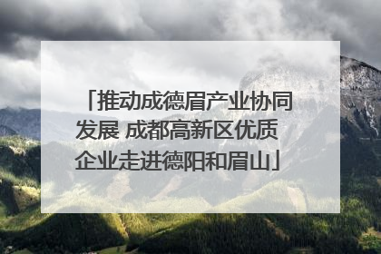 推动成德眉产业协同发展 成都高新区优质企业走进德阳和眉山