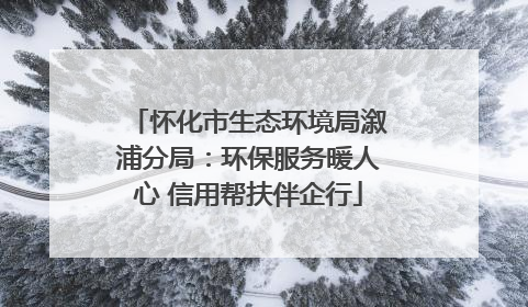 怀化市生态环境局溆浦分局：环保服务暖人心 信用帮扶伴企行