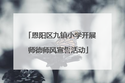 恩阳区九镇小学开展师德师风宣誓活动