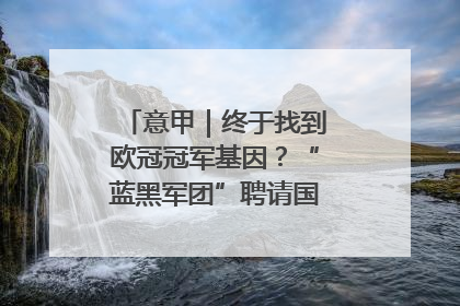 意甲｜终于找到欧冠冠军基因？“蓝黑军团”聘请国米名宿齐沃执教