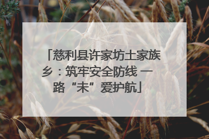 慈利县许家坊土家族乡：筑牢安全防线 一路“未”爱护航
