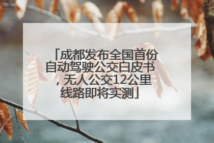 成都发布全国首份自动驾驶公交白皮书，无人公交12公里线路即将实测