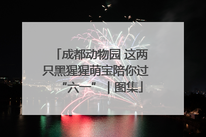 成都动物园 这两只黑猩猩萌宝陪你过“六一”｜图集
