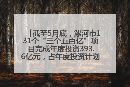 截至5月底，漯河市131个“三个五百亿”项目完成年度投资393.6亿元，占年度投资计划的50.41%——“三个五百亿”项目带动产业提质升级