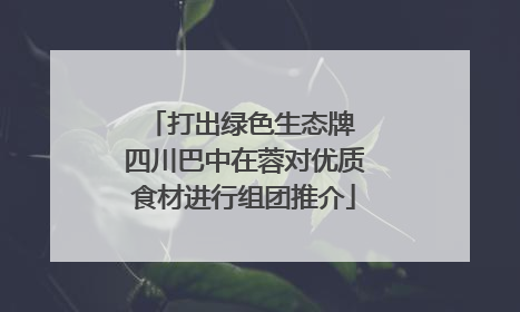 打出绿色生态牌 四川巴中在蓉对优质食材进行组团推介