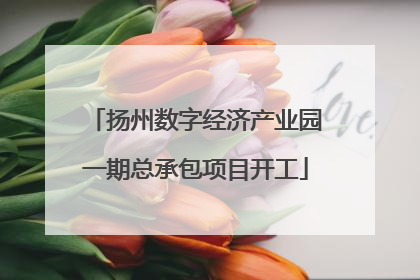 扬州数字经济产业园一期总承包项目开工
