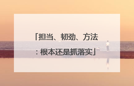 担当、韧劲、方法：根本还是抓落实