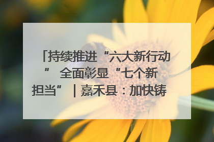 持续推进“六大新行动 ” 全面彰显“七个新担当”｜嘉禾县：加快铸造行业提档升级 助力绿色高质量发展