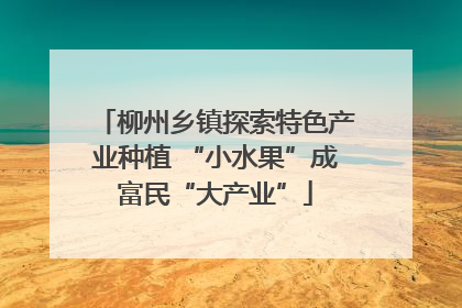 柳州乡镇探索特色产业种植 “小水果”成富民“大产业”