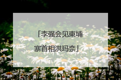 李强会见柬埔寨首相洪玛奈
