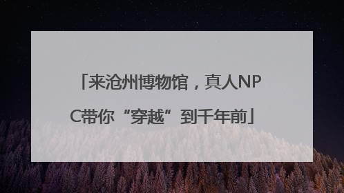 来沧州博物馆，真人NPC带你“穿越”到千年前