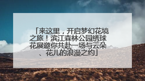 来这里，开启梦幻花境之旅！滨江森林公园绣球花展邀你共赴一场与云朵、花儿的浪漫之约