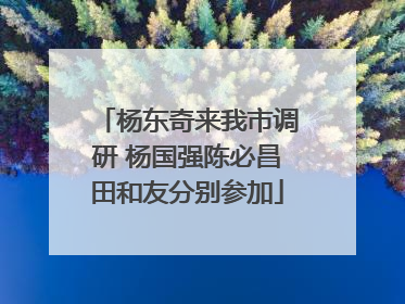 杨东奇来我市调研 杨国强陈必昌田和友分别参加