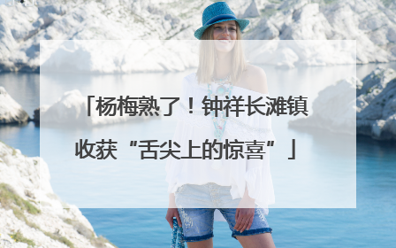 杨梅熟了！钟祥长滩镇收获“舌尖上的惊喜”