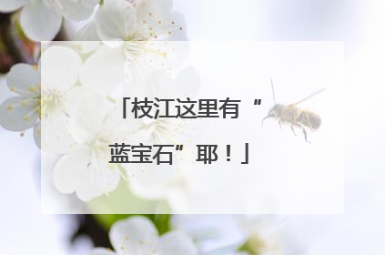 枝江这里有“蓝宝石”耶！