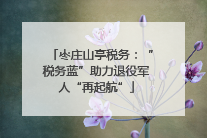 枣庄山亭税务：“税务蓝”助力退役军人“再起航”