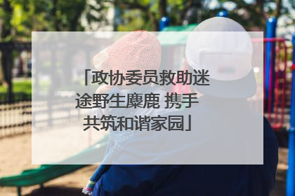 政协委员救助迷途野生麋鹿 携手共筑和谐家园