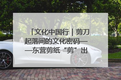 文化中国行｜剪刀起落间的文化密码——东营剪纸“剪”出非遗传承与现代生活的融合之道