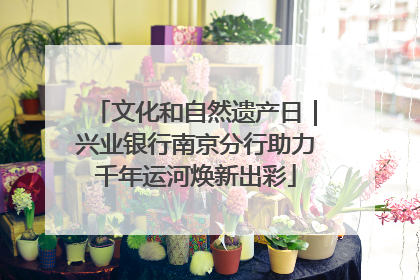文化和自然遗产日｜兴业银行南京分行助力千年运河焕新出彩
