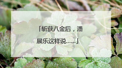斩获八金后，潘展乐这样说……