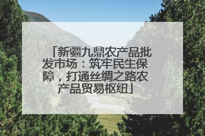 新疆九鼎农产品批发市场：筑牢民生保障，打通丝绸之路农产品贸易枢纽