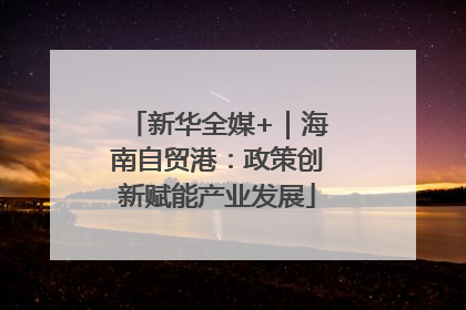 新华全媒+｜海南自贸港：政策创新赋能产业发展