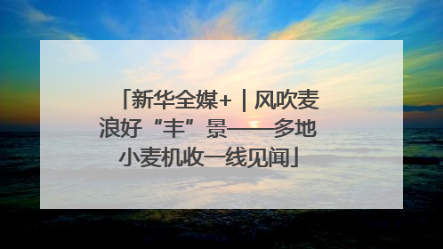 新华全媒+｜风吹麦浪好“丰”景——多地小麦机收一线见闻