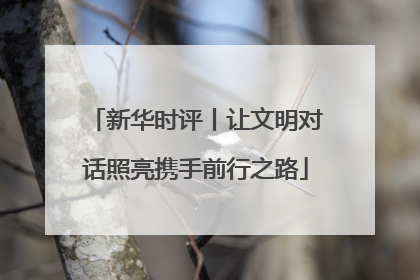 新华时评丨让文明对话照亮携手前行之路
