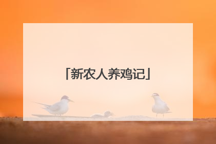 新农人养鸡记