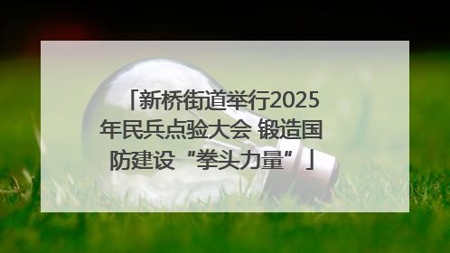 新桥街道举行2025年民兵点验大会 锻造国防建设“拳头力量”