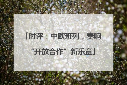 时评：中欧班列，奏响“开放合作”新乐章