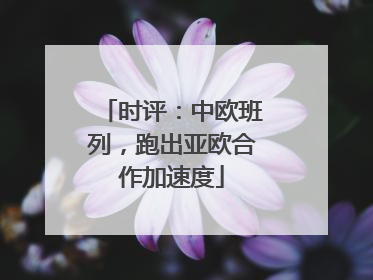 时评：中欧班列，跑出亚欧合作加速度