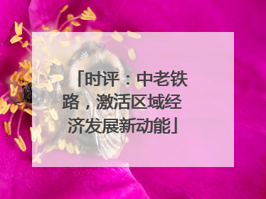 时评：中老铁路，激活区域经济发展新动能