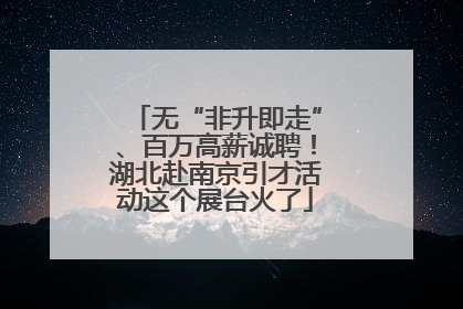 无“非升即走”、百万高薪诚聘！湖北赴南京引才活动这个展台火了