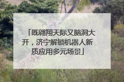 既翱翔天际又脑洞大开，济宁解锁机器人新质应用多元场景