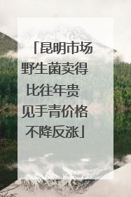 昆明市场野生菌卖得比往年贵 见手青价格不降反涨