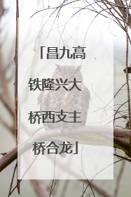 昌九高铁隆兴大桥西支主桥合龙